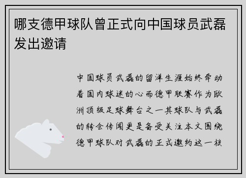 哪支德甲球队曾正式向中国球员武磊发出邀请